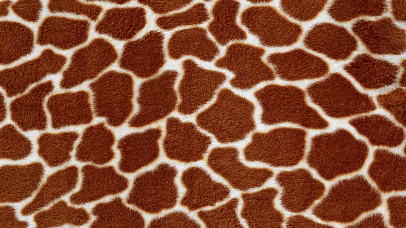 Обои текстура, фон, жираф, мех, texture, background, giraffe, fur разрешение 2560x1600 Загрузить