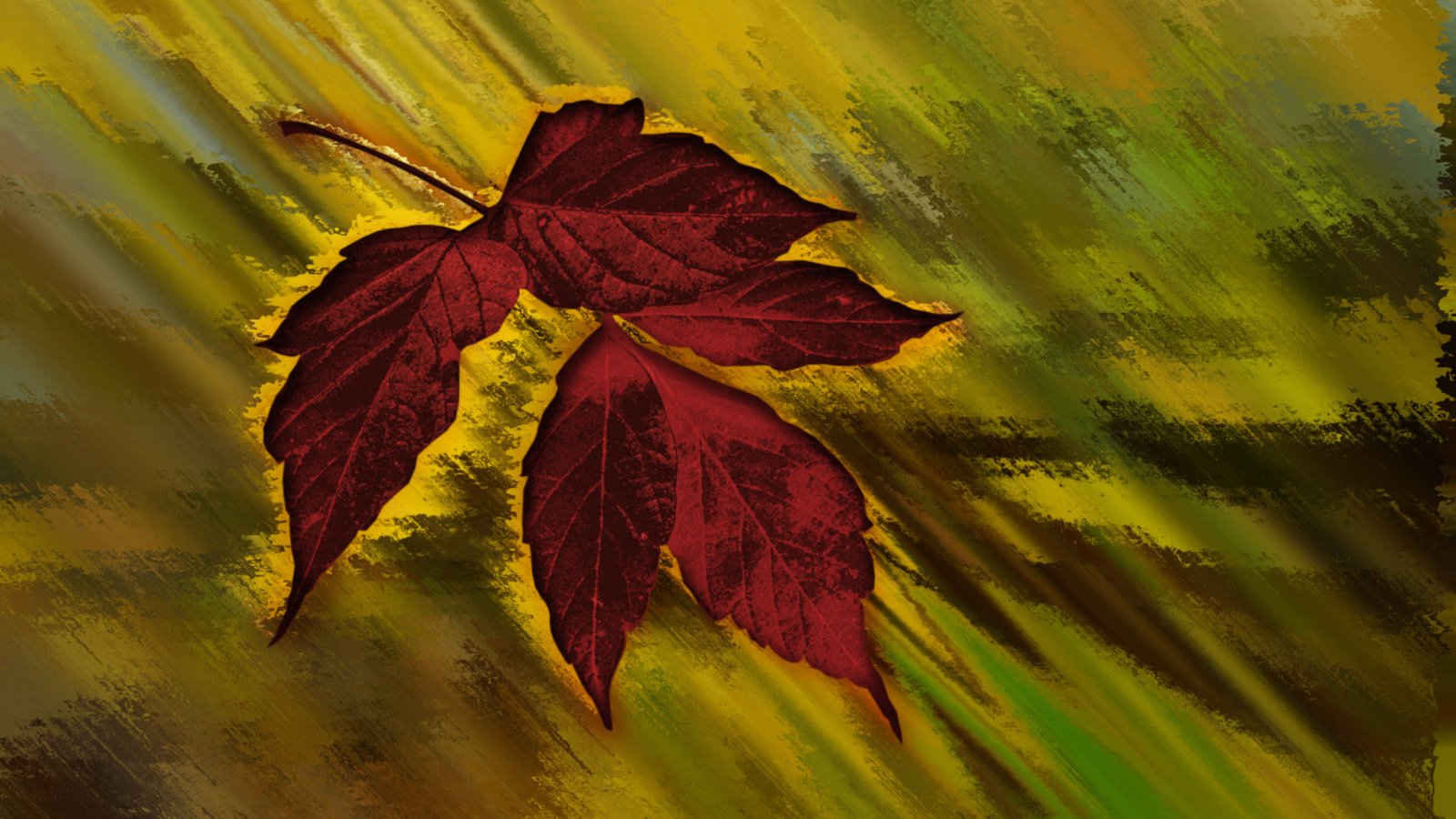 Обои кленовый лист, осенний цвет, maple leaf, autumn color разрешение 2560x1600 Загрузить