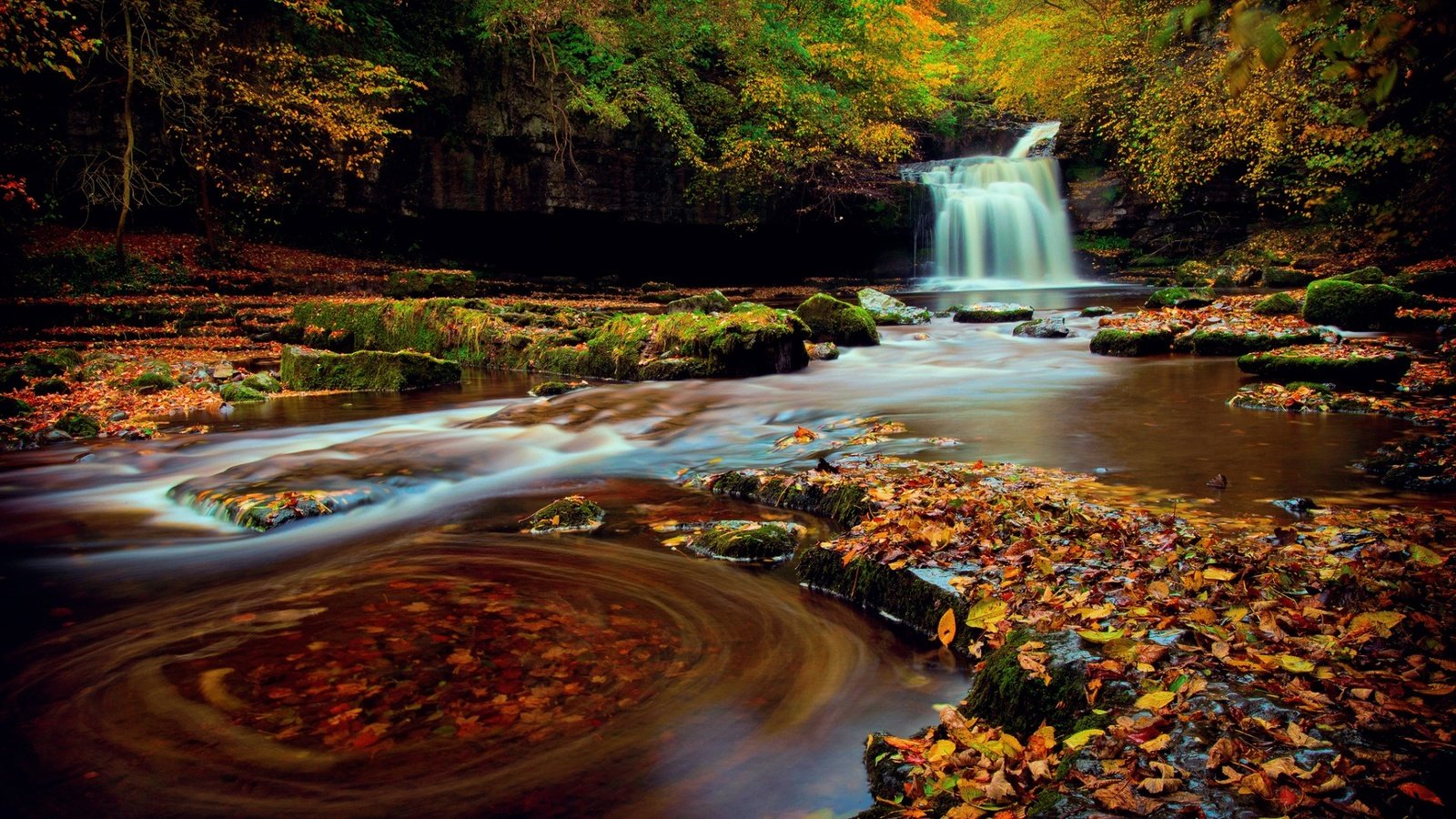 Обои природа, лес, водопад, осень, англия, йоркшир, nature, forest, waterfall, autumn, england, yorkshire разрешение 1920x1200 Загрузить