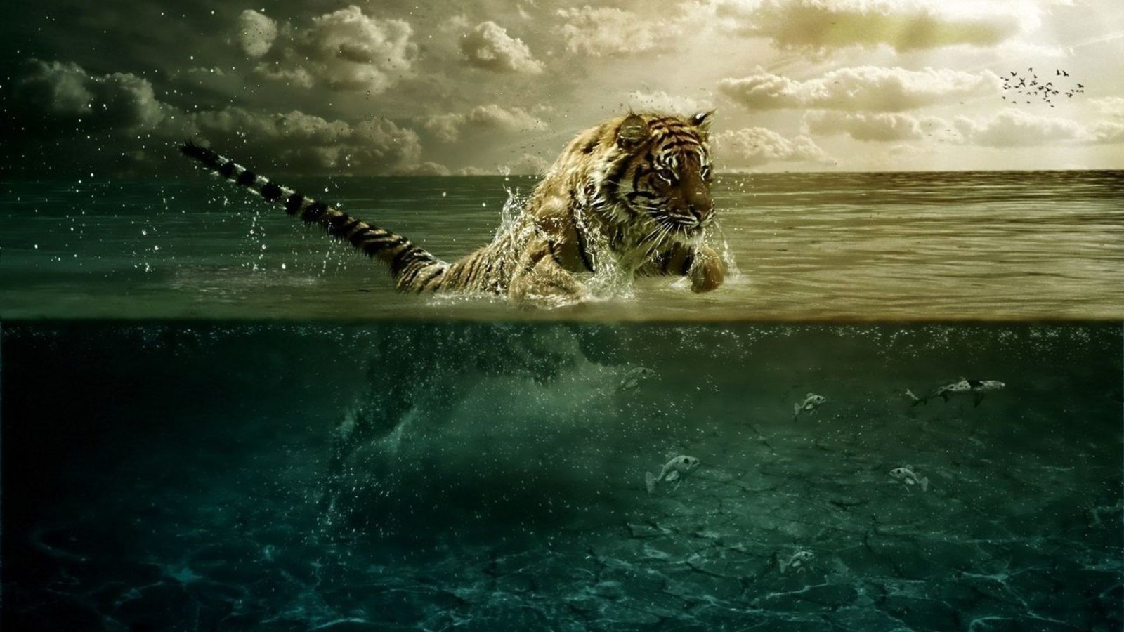 Обои тигр, вода, прыжок, движение, tiger, water, jump, movement разрешение 2000x1250 Загрузить