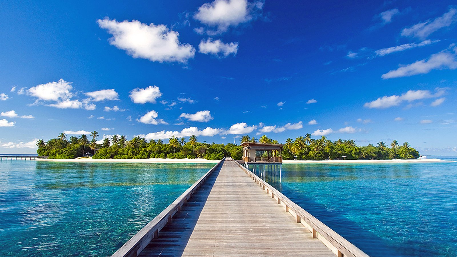 Обои море, остров, тропики, мальдивы, sea, island, tropics, the maldives разрешение 1920x1281 Загрузить