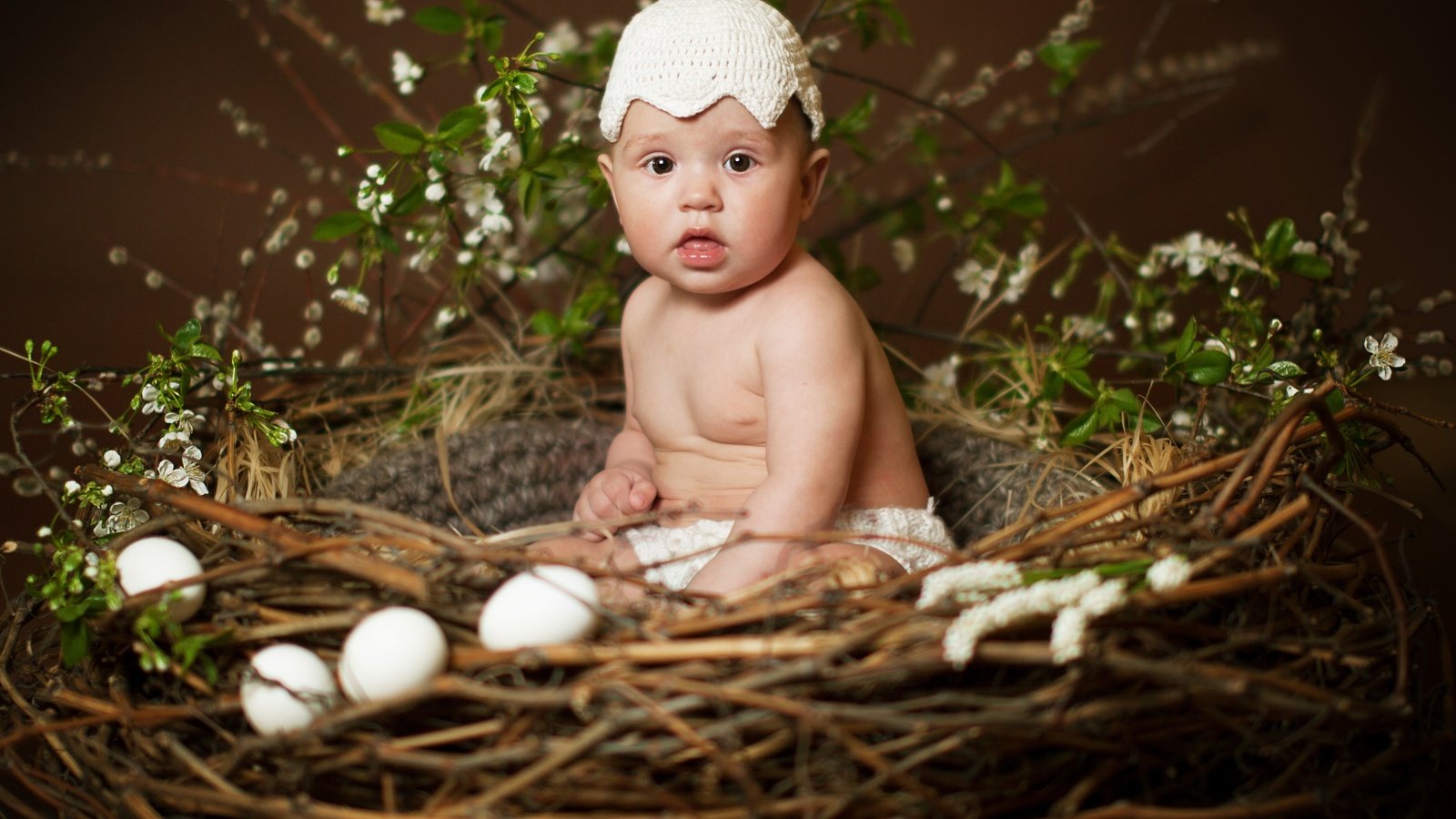 Обои дети, ребенок, мальчик, пасха, яйца, гнездо, children, child, boy, easter, eggs, socket разрешение 3828x2740 Загрузить