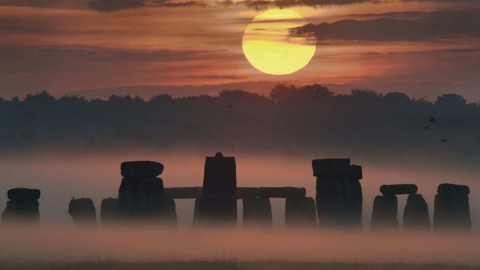 Обои лес, закат, туман, стоунхендж, мегалиты, forest, sunset, fog, stonehenge, megaliths разрешение 2560x1600 Загрузить