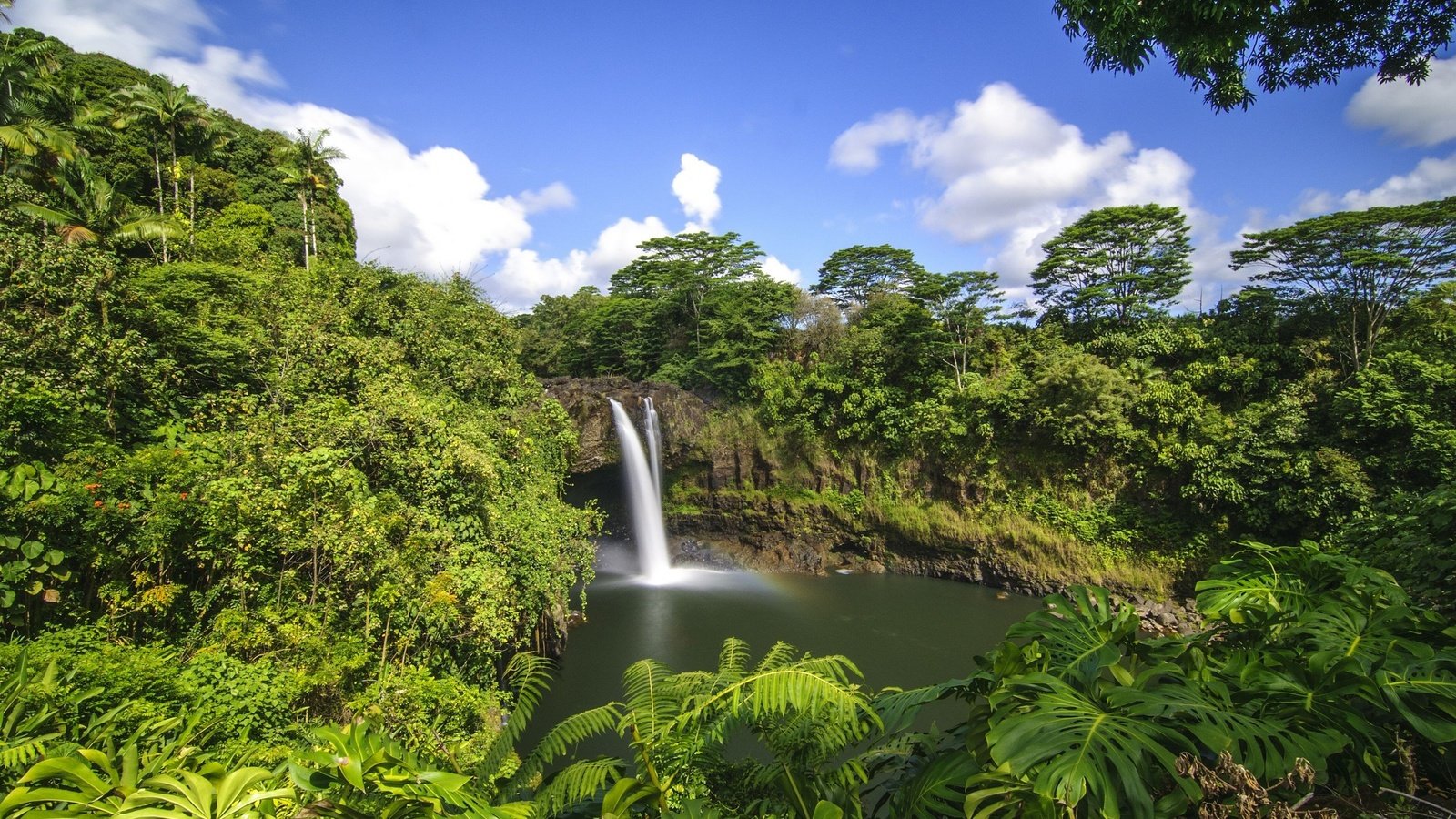 Обои деревья, лес, водопад, тропики, гавайи, trees, forest, waterfall, tropics, hawaii разрешение 2800x1860 Загрузить