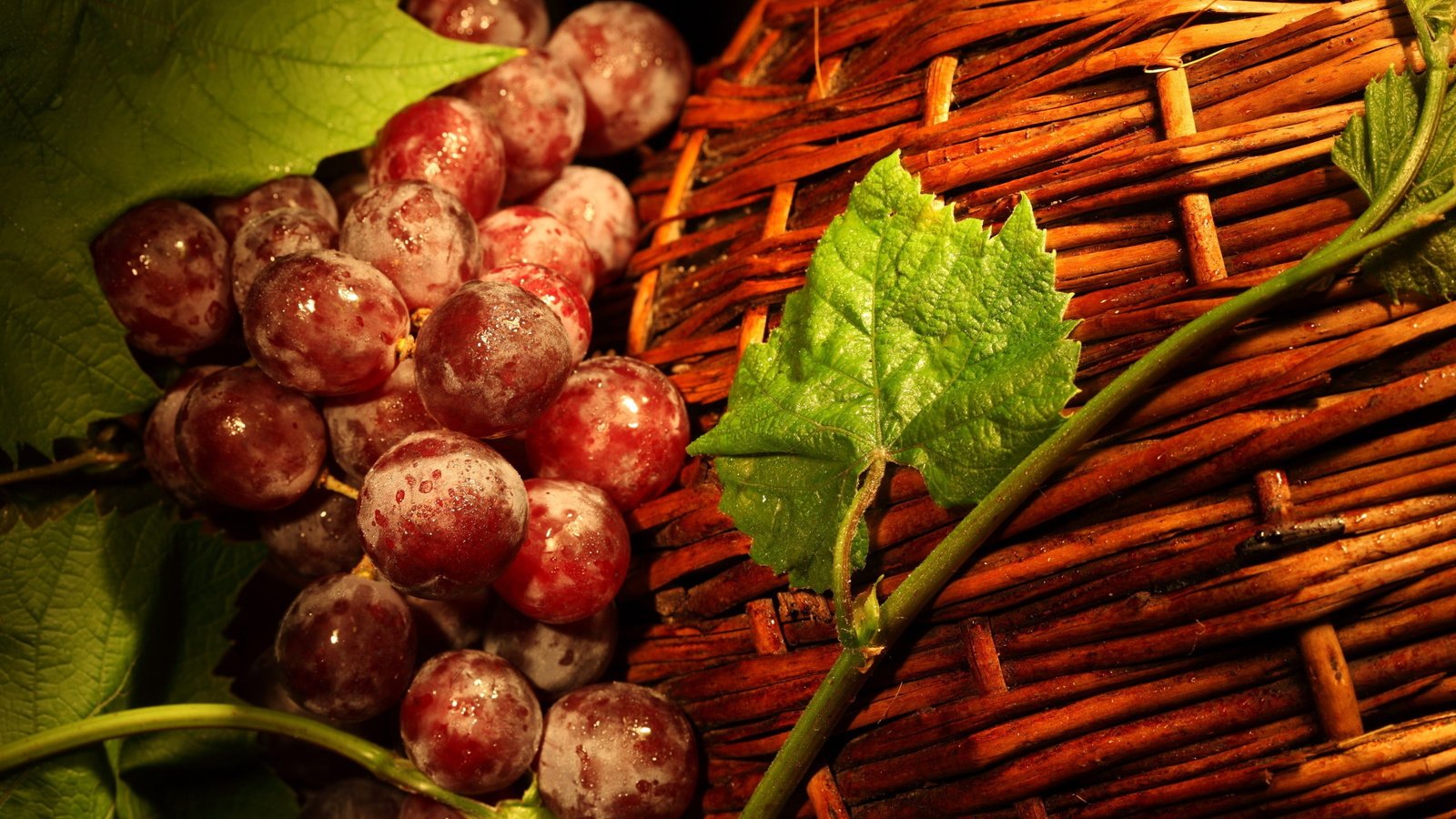 Обои листья, виноград, корзина, ягоды, лоза, корзинка, виноград красный, leaves, grapes, basket, berries, vine, grape red разрешение 2560x1600 Загрузить