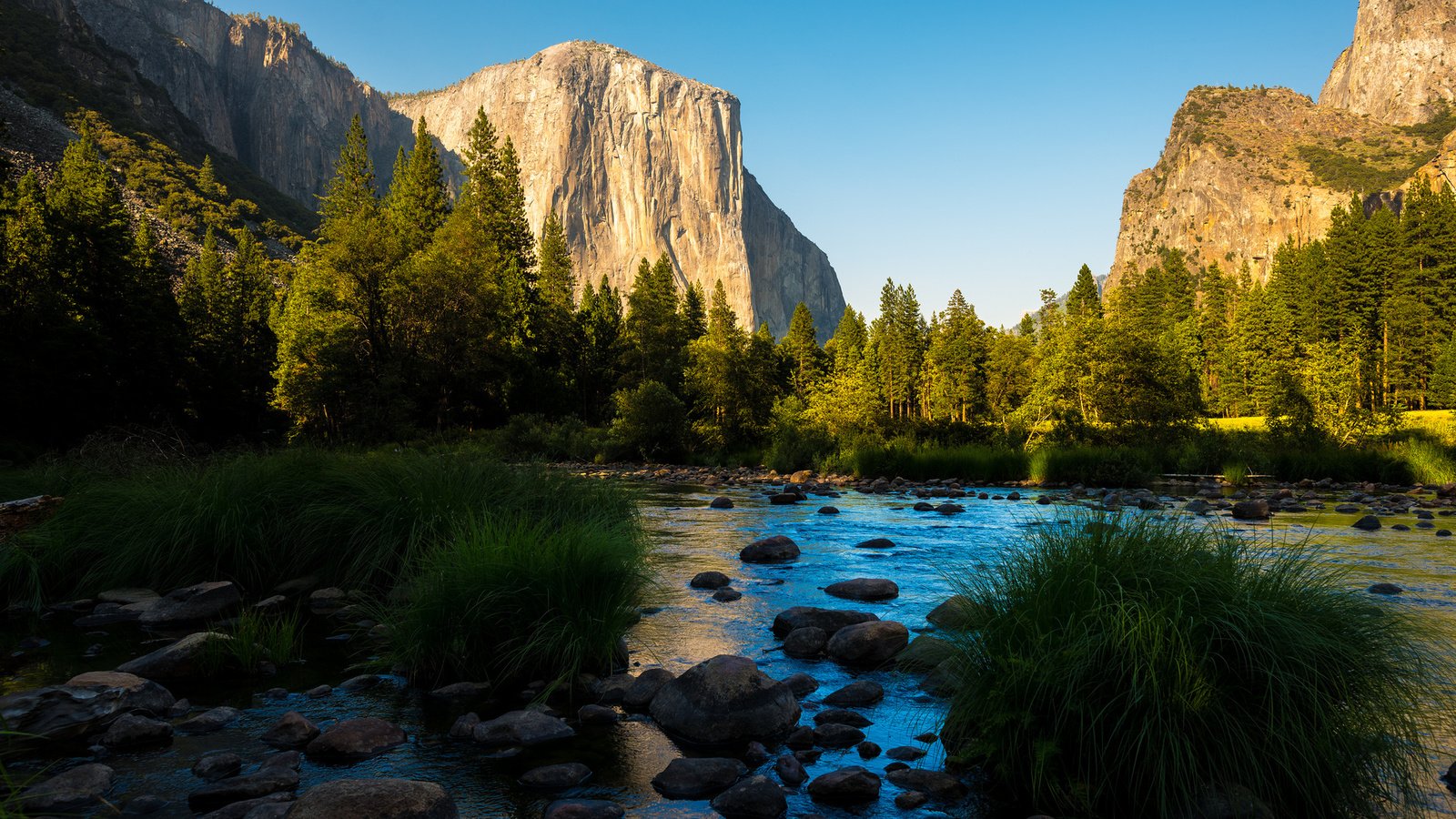 Обои горы, лес, панорамма, йосемитский национальный парк, mountains, forest, panorama, yosemite national park разрешение 1920x1080 Загрузить