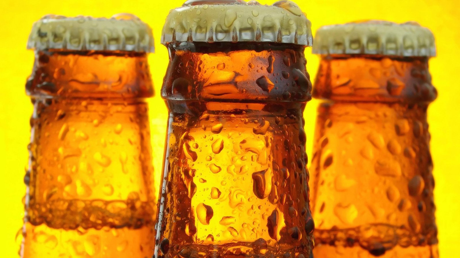 Обои капли, пиво, бутылки, жидкая, крышка, beer bottles, cтекло, drops, beer, bottle, liquid, cover, glass разрешение 1920x1200 Загрузить