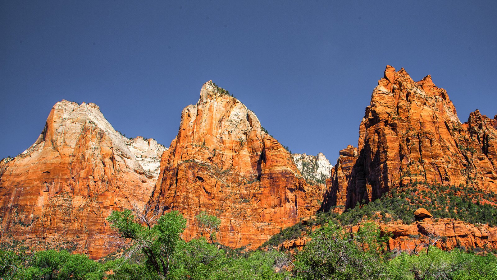 Обои горы, сша, юта, zion national park, национальный парк, штат юта, mountains, usa, utah, national park разрешение 1920x1200 Загрузить