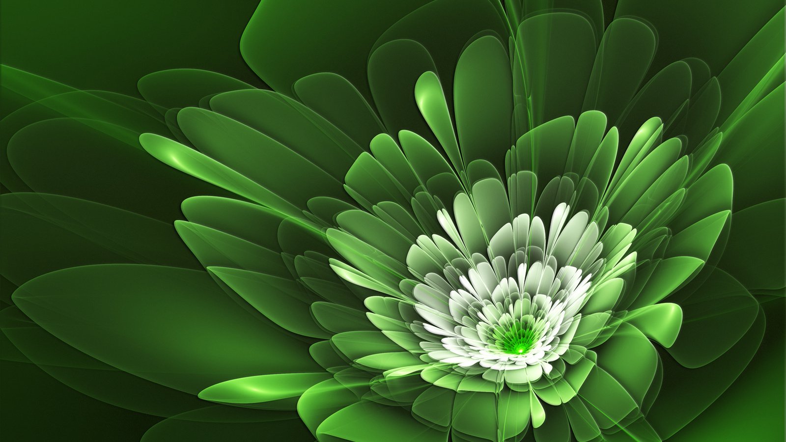 Обои линии, зелёный, цветок, лепестки, line, green, flower, petals разрешение 1920x1200 Загрузить