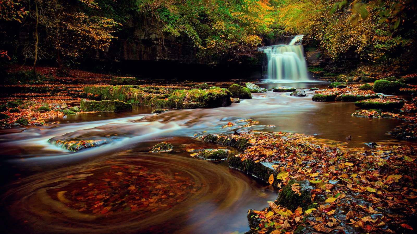 Обои лес, водопад, осень, октябрь, йоркшир, северная англия, forest, waterfall, autumn, october, yorkshire, northern england разрешение 1920x1200 Загрузить