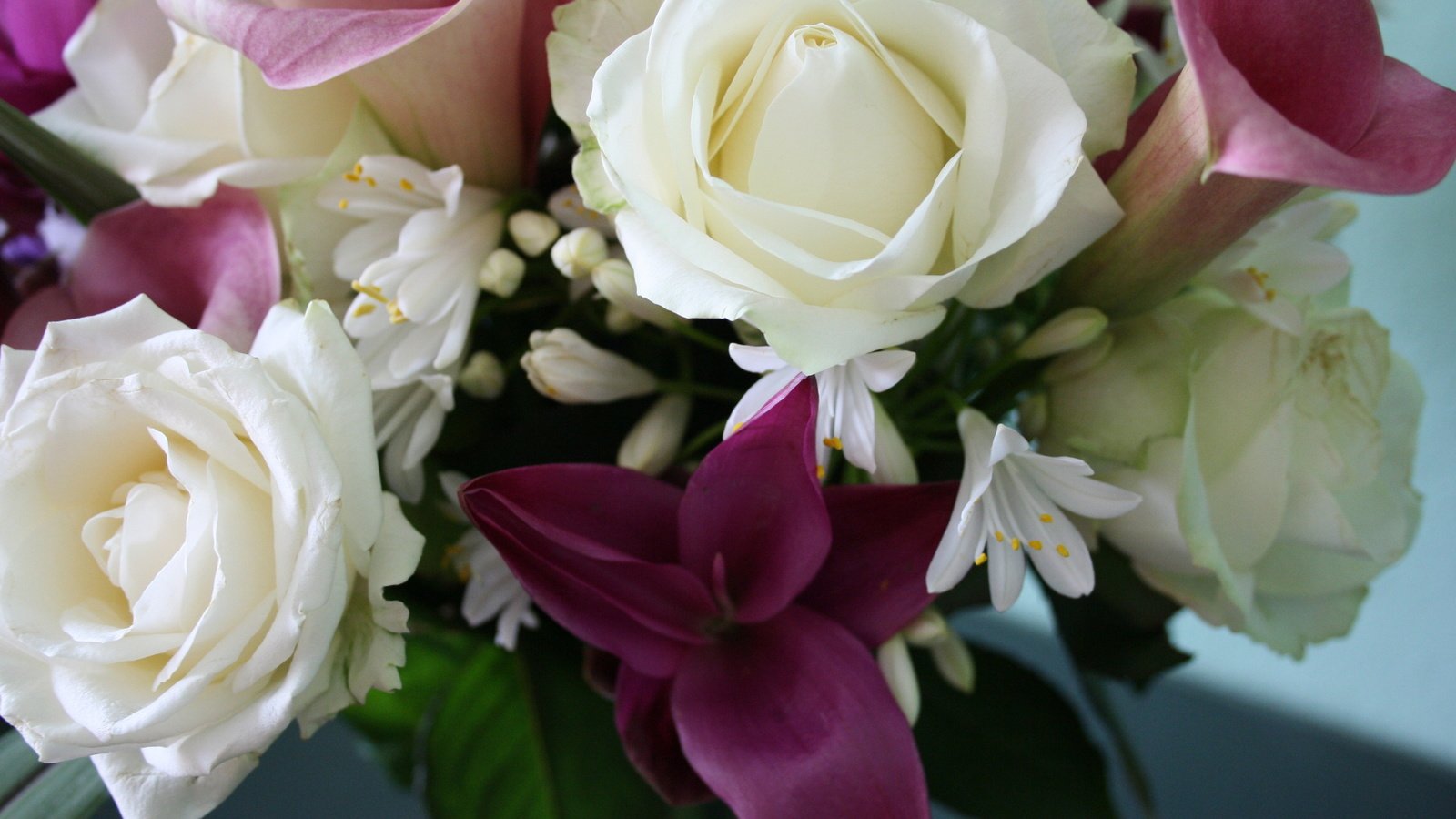 Обои цветы, букет (вам девушки, независимо от вашей красоты), flowers, the bouquet (you girls, regardless of your beauty) разрешение 2560x1600 Загрузить