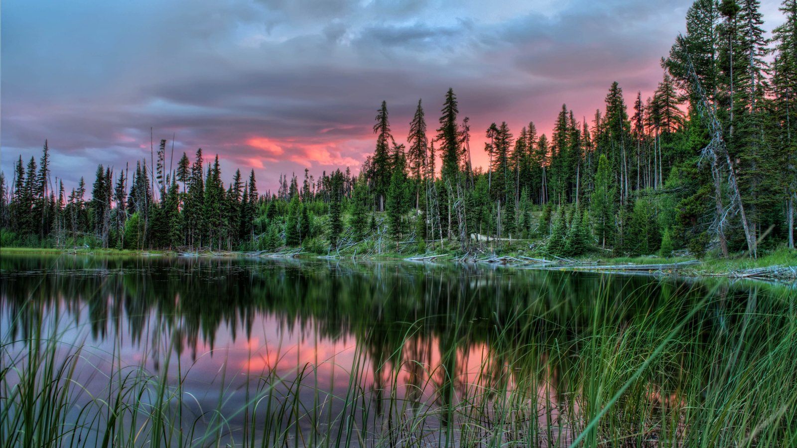 Обои деревья, озеро, закат, пейзаж, канада, провинция альберта, trees, lake, sunset, landscape, canada, alberta разрешение 2560x1600 Загрузить