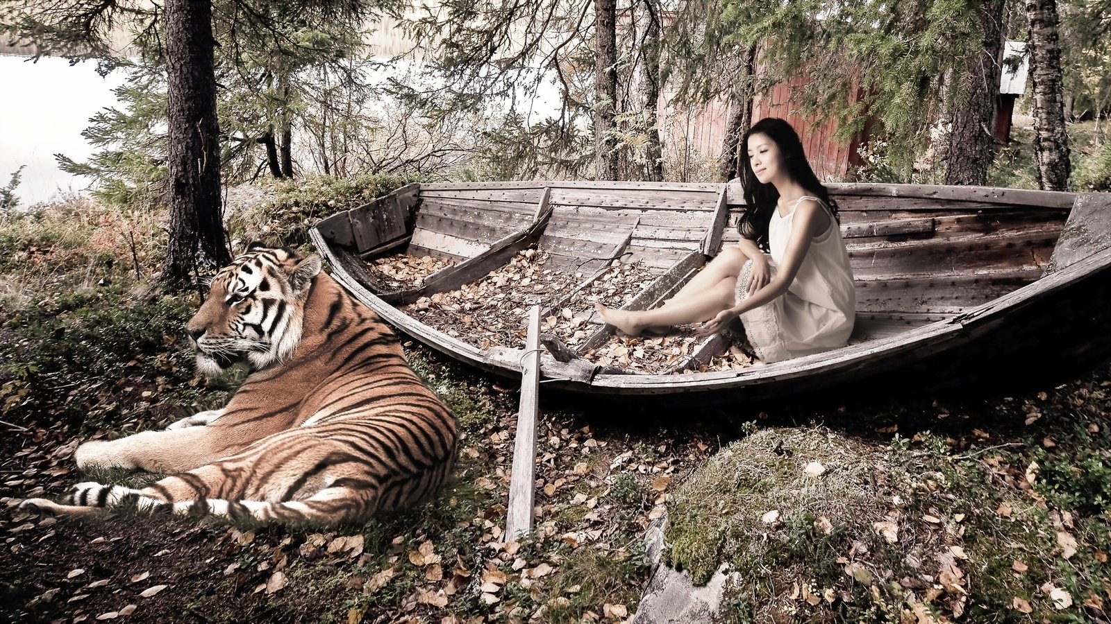 Обои тигр, деревья, девушка, лодка, опавшие листья, tiger, trees, girl, boat, fallen leaves разрешение 2560x1440 Загрузить