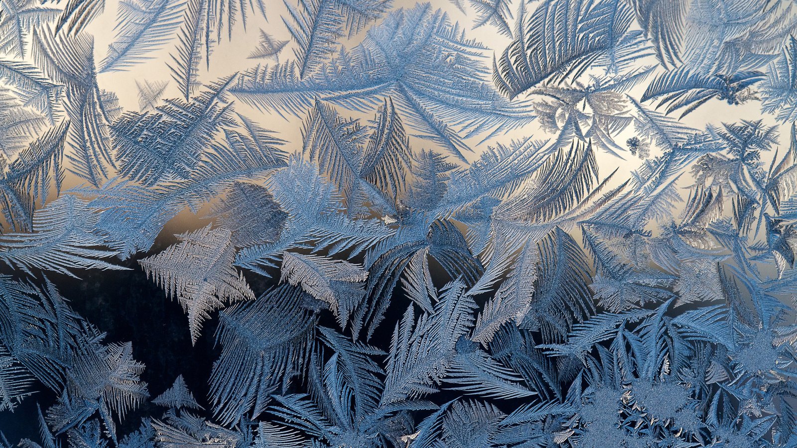 Обои мороз, узоры, стекло, frost, patterns, glass разрешение 2048x1365 Загрузить