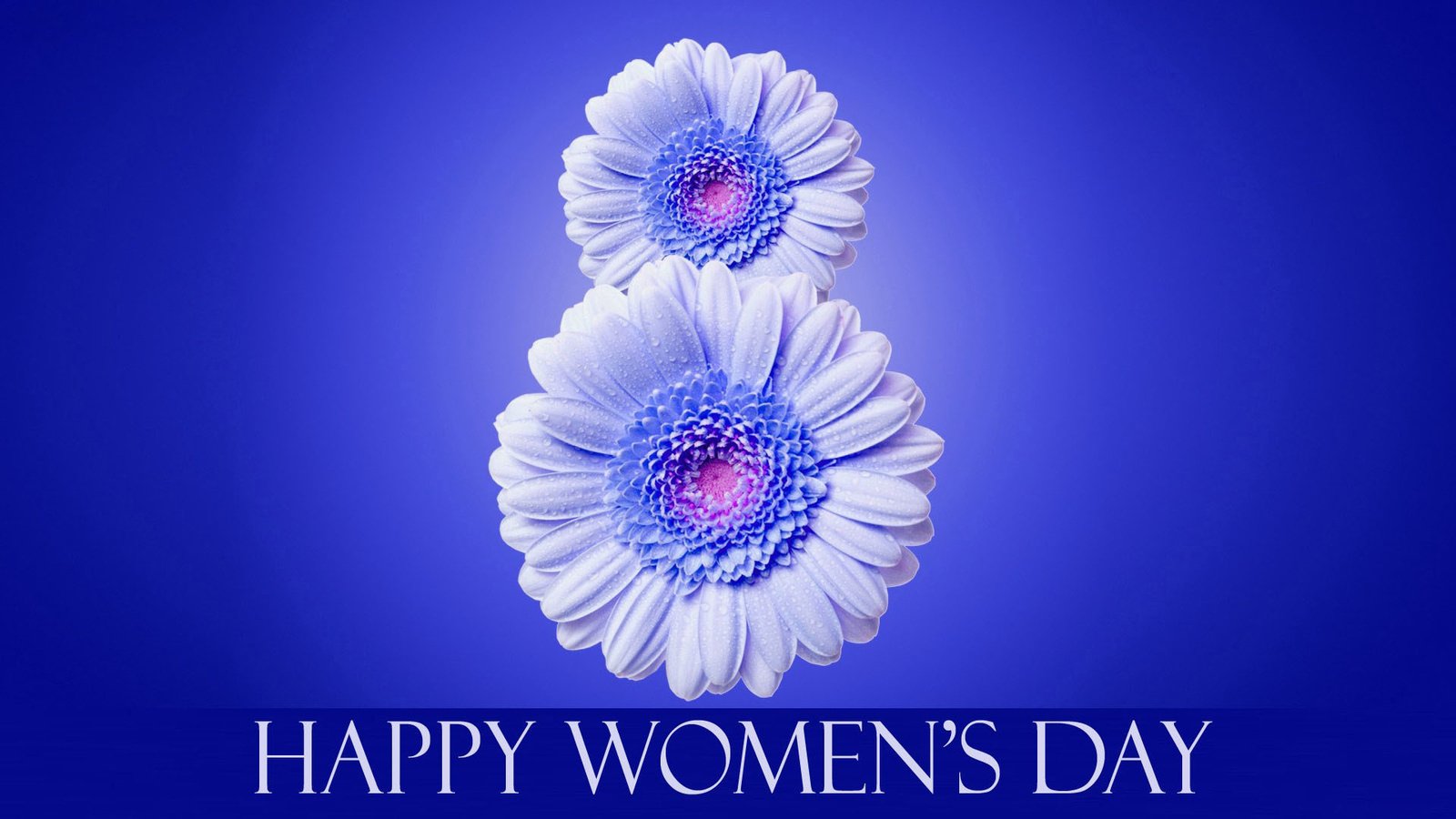 Обои цветы, надпись, 8 марта, международный женский день, flowers, the inscription, march 8, international women's day разрешение 1920x1080 Загрузить