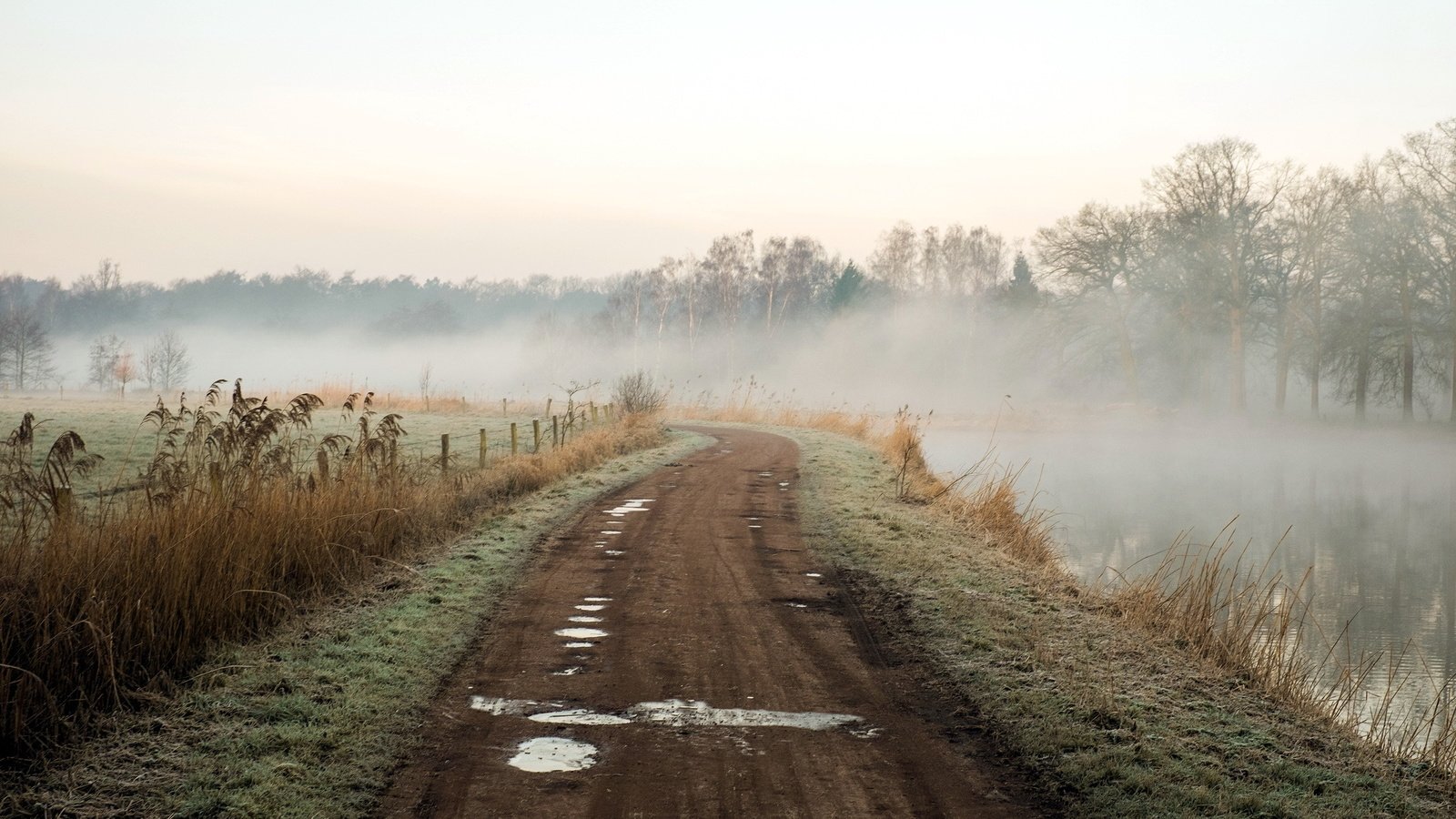 Обои дорога, река, природа, пейзаж, утро, туман, road, river, nature, landscape, morning, fog разрешение 2048x1365 Загрузить