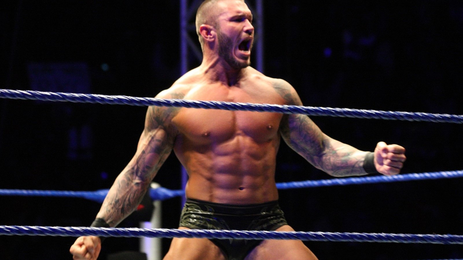 Обои mma, тяжелый вес, wwe, ufc, рестлер, ренди ортон, heavy weight, wrestler, randy orton разрешение 2560x1600 Загрузить