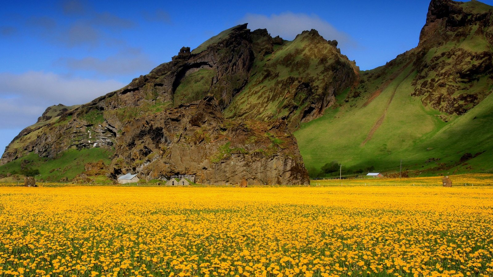 Обои небо, цветы, горы, поле, весна, одуванчики, долина, желтые, the sky, flowers, mountains, field, spring, dandelions, valley, yellow разрешение 1920x1200 Загрузить