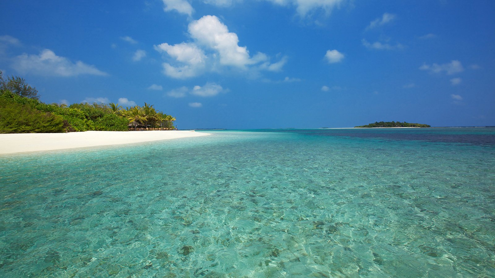 Обои море, пляж, отдых, остров, тропики, мальдивы, sea, beach, stay, island, tropics, the maldives разрешение 5000x3333 Загрузить