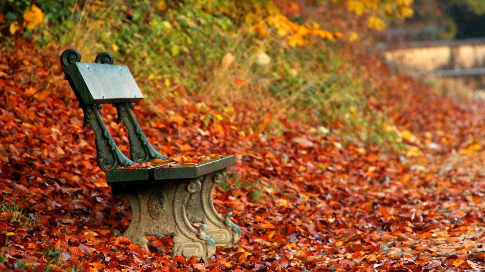 Обои парк, осень, скамейка, скамья, park, autumn, bench разрешение 4702x3242 Загрузить