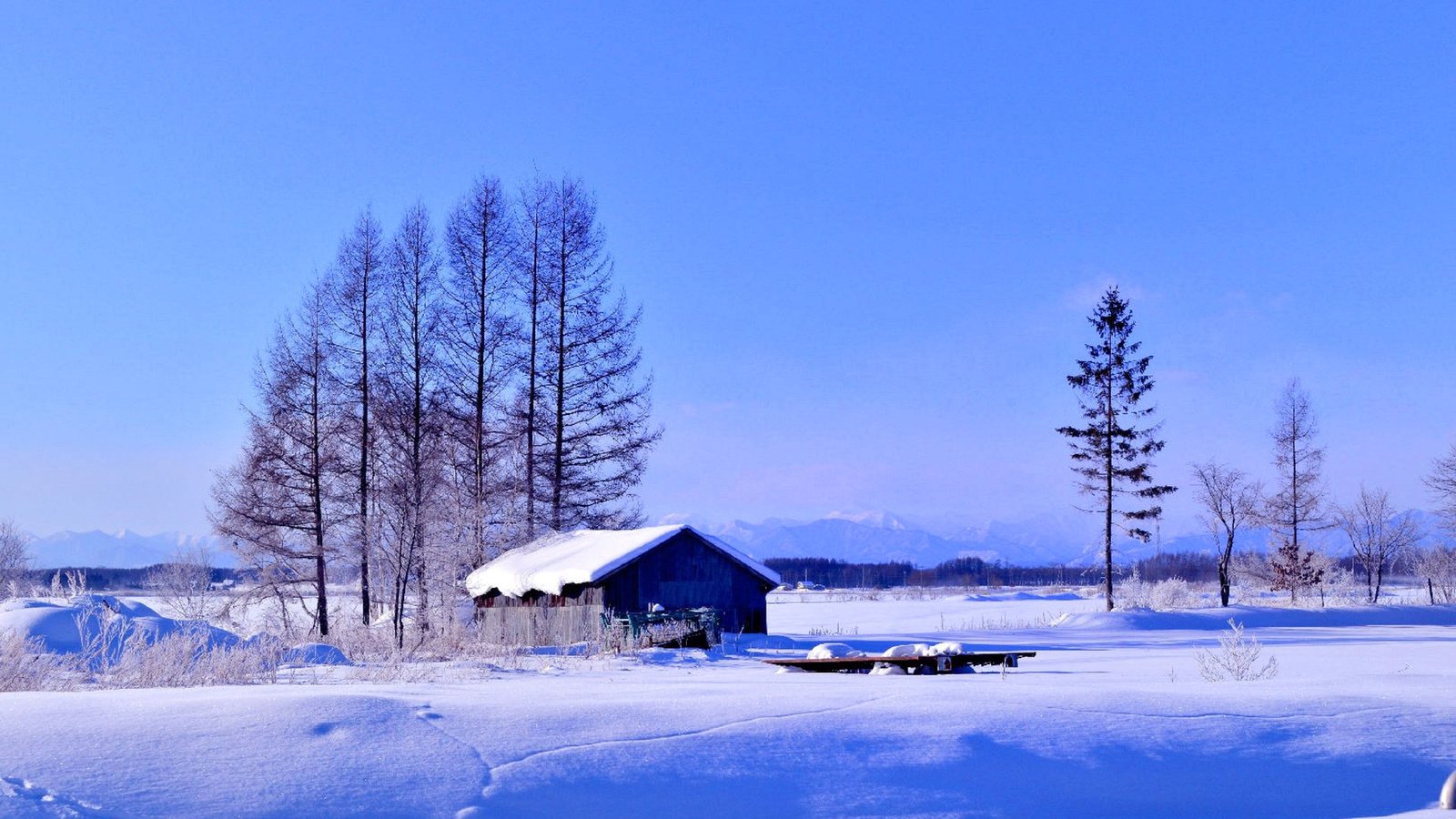 Обои деревья, снег, зима, поле, дом, trees, snow, winter, field, house разрешение 1920x1200 Загрузить