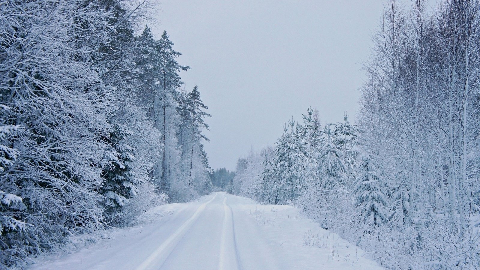 Обои дорога, деревья, зима, road, trees, winter разрешение 1920x1080 Загрузить