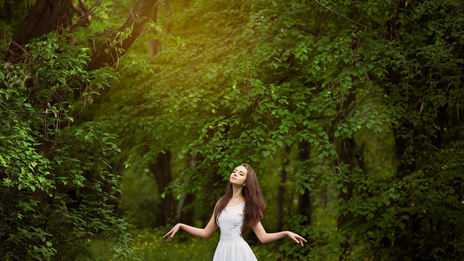 Обои деревья, лес, девушка, настроение, шатенка, trees, forest, girl, mood, brown hair разрешение 2048x1362 Загрузить