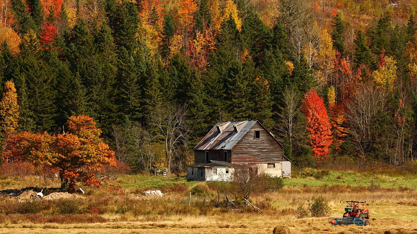 Обои природа, лес, поле, сено, осень, дом, трактор, nature, forest, field, hay, autumn, house, tractor разрешение 2592x1728 Загрузить