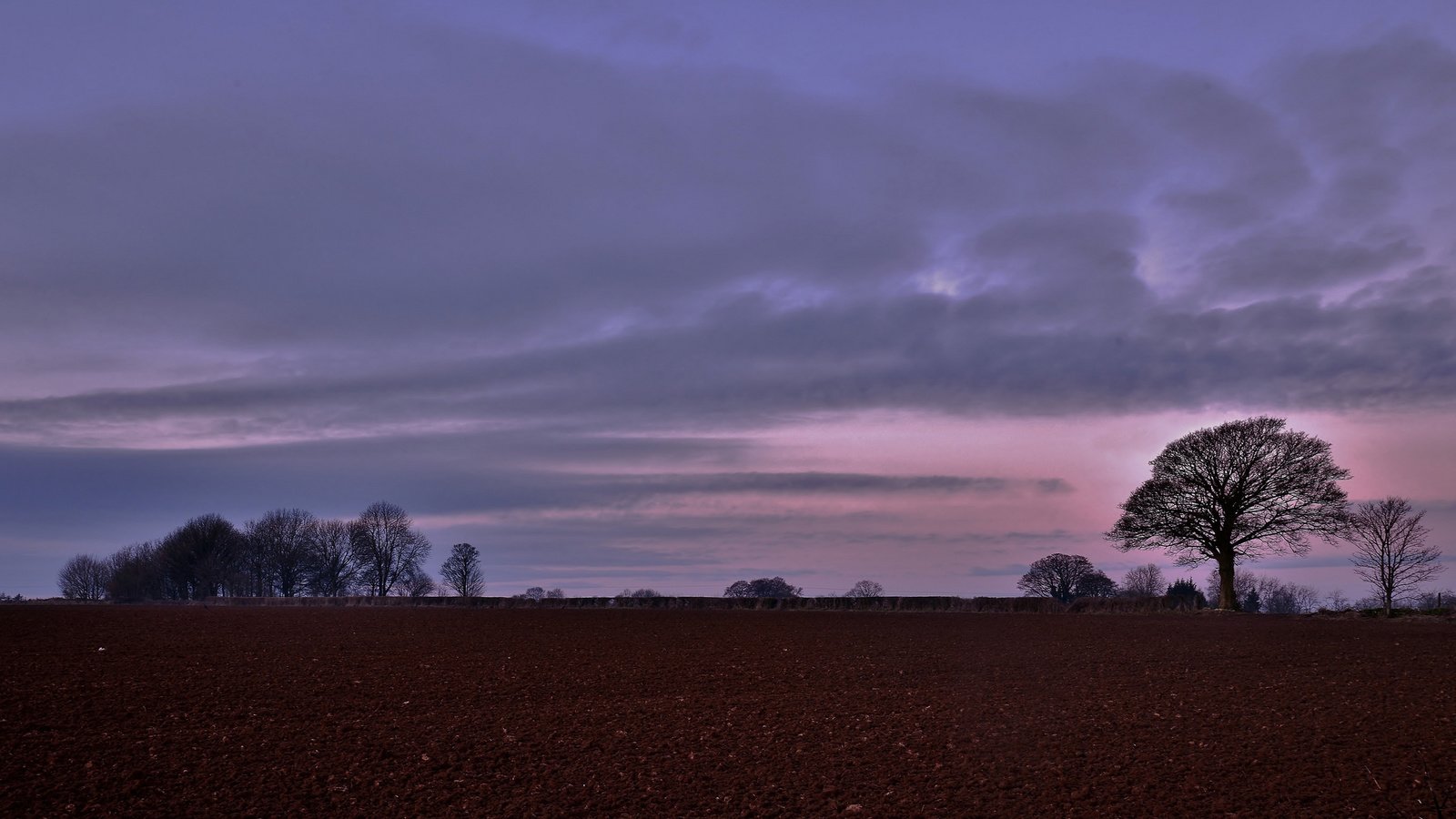 Обои небо, деревья, вечер, поле, the sky, trees, the evening, field разрешение 2048x1154 Загрузить