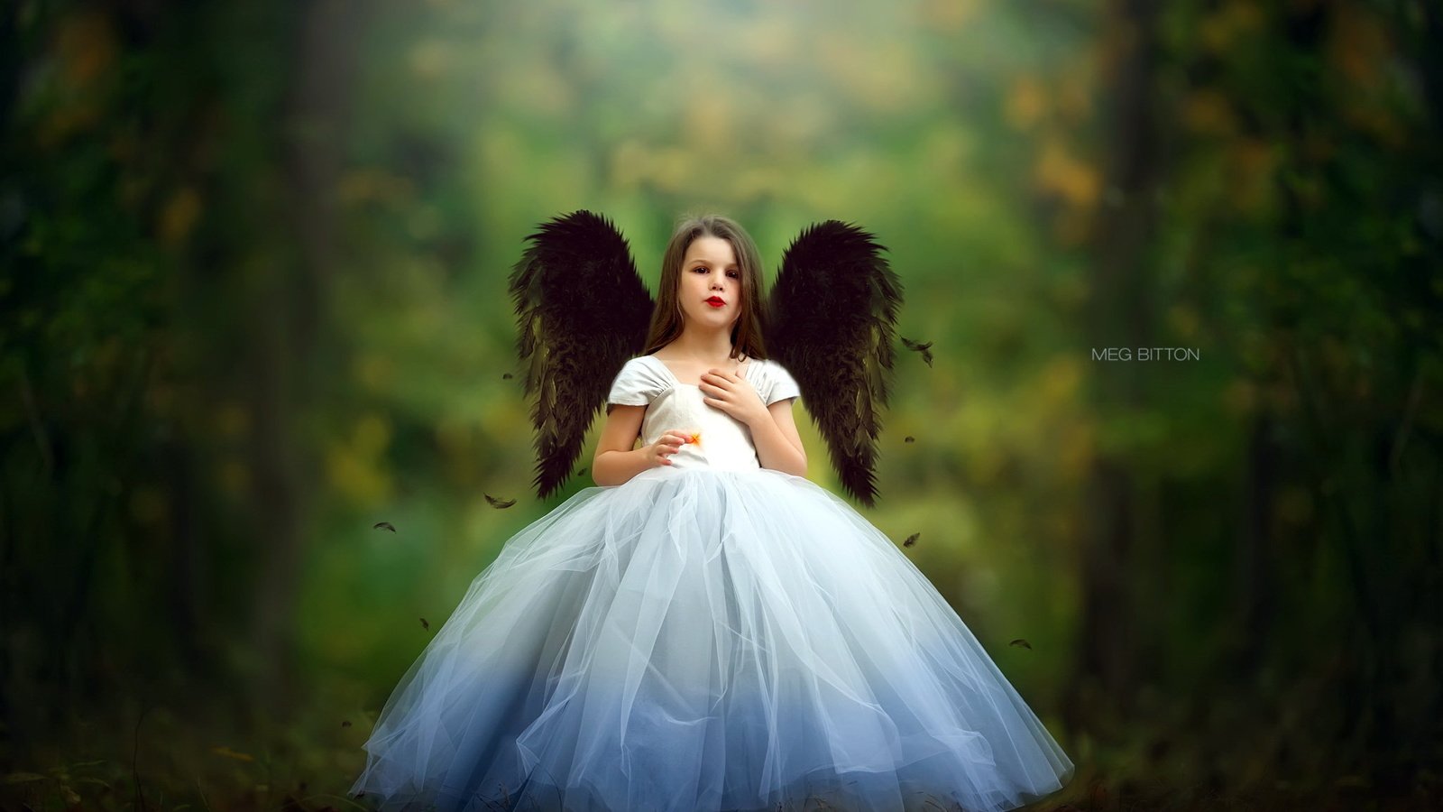 Обои фон, платье, крылья, дети, девочка, ангел, background, dress, wings, children, girl, angel разрешение 2048x1363 Загрузить