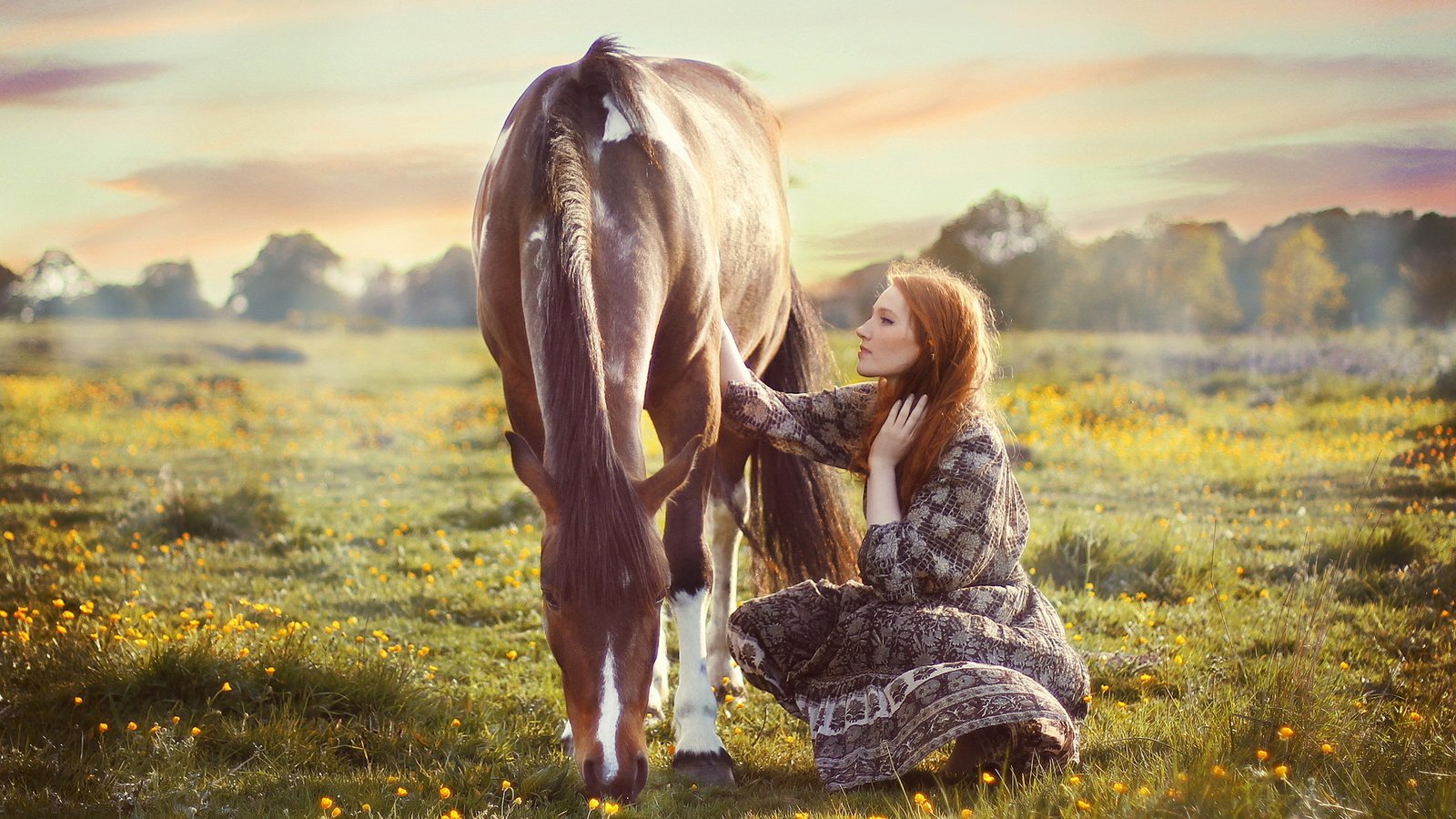 Обои цветы, лошадь, горы, природа, девушка, поле, flowers, horse, mountains, nature, girl, field разрешение 2048x1388 Загрузить