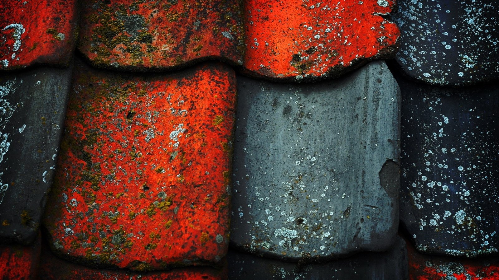 Обои цвет, черный, красный, краска, крыша, старая, черепица, color, black, red, paint, roof, old, tile разрешение 1920x1200 Загрузить