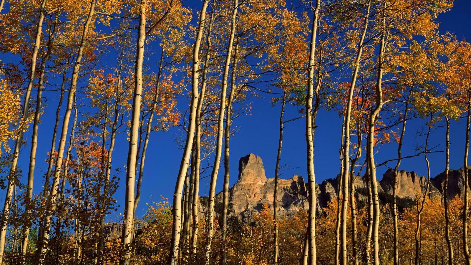 Обои небо, осина, деревья, горы, скалы, природа, листья, осень, береза, the sky, aspen, trees, mountains, rocks, nature, leaves, autumn, birch разрешение 1920x1080 Загрузить