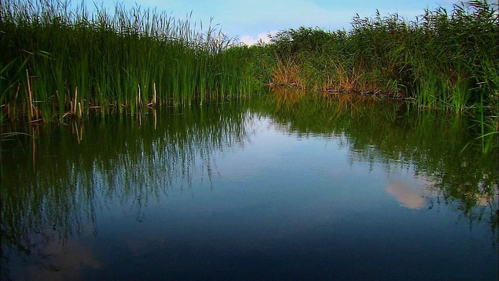 Обои вода, природа, water, nature разрешение 1920x1080 Загрузить