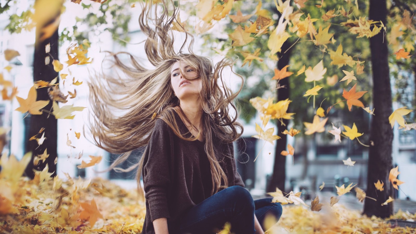 Обои листья, девушка, осень, волосы, дэвид olkarny, leaves, girl, autumn, hair, david olkarny разрешение 2880x1920 Загрузить