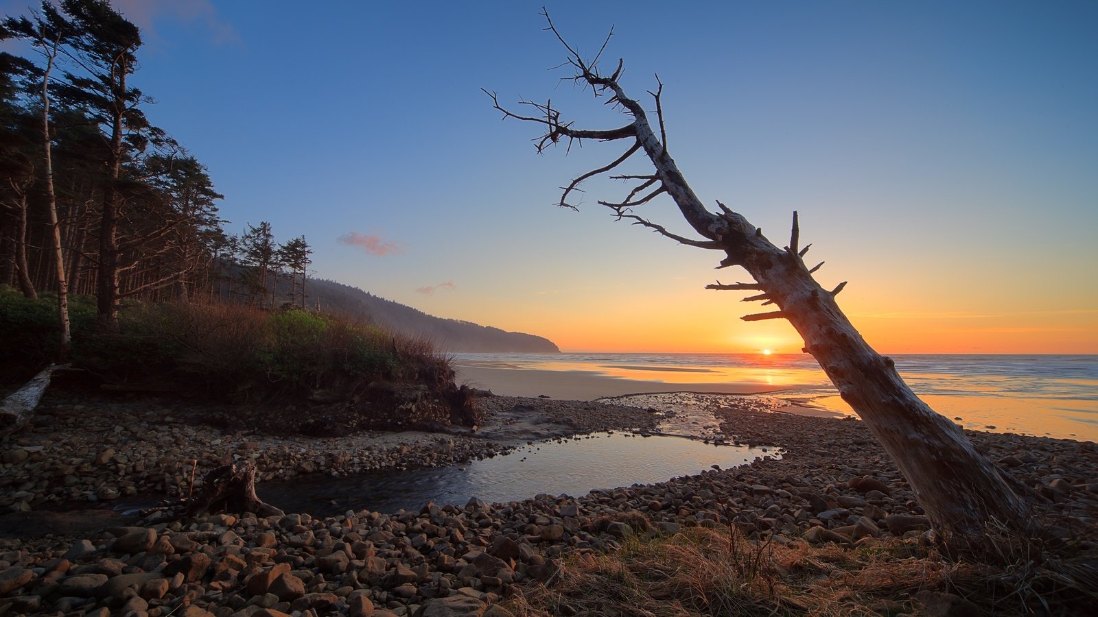 Обои небо, дерево, закат, море, побережье, the sky, tree, sunset, sea, coast разрешение 3000x1877 Загрузить