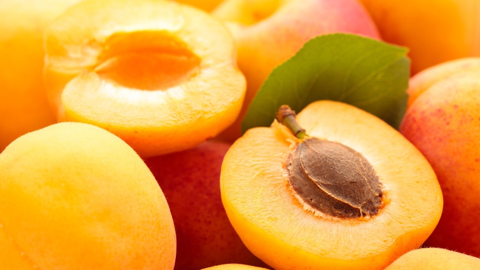 Обои макро, лето, фрукты, абрикос, плоды, абрикосы, macro, summer, fruit, apricot, apricots разрешение 2048x1365 Загрузить