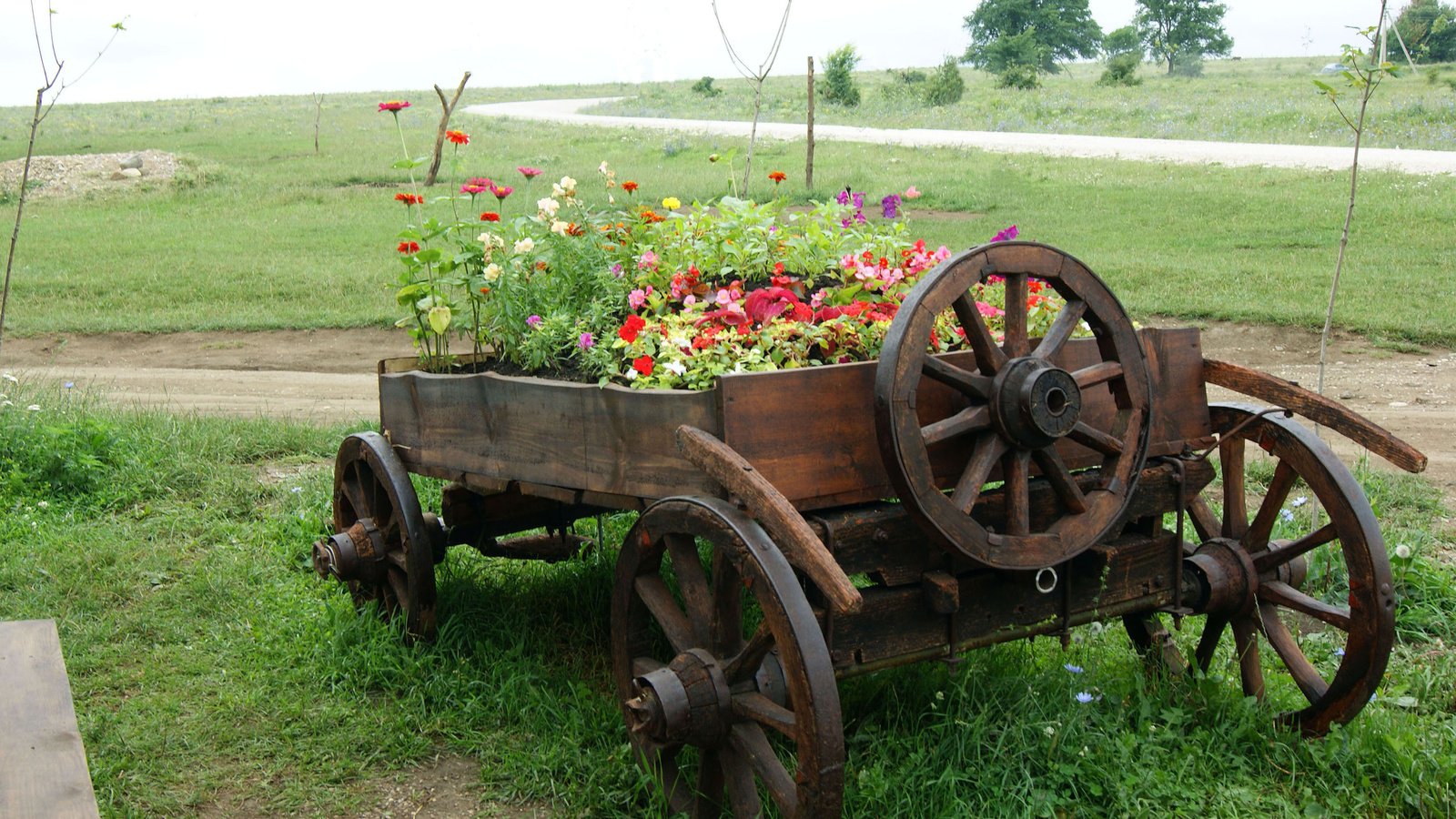 Обои цветы, природа, поле, телега, flowers, nature, field, cart разрешение 2560x1600 Загрузить
