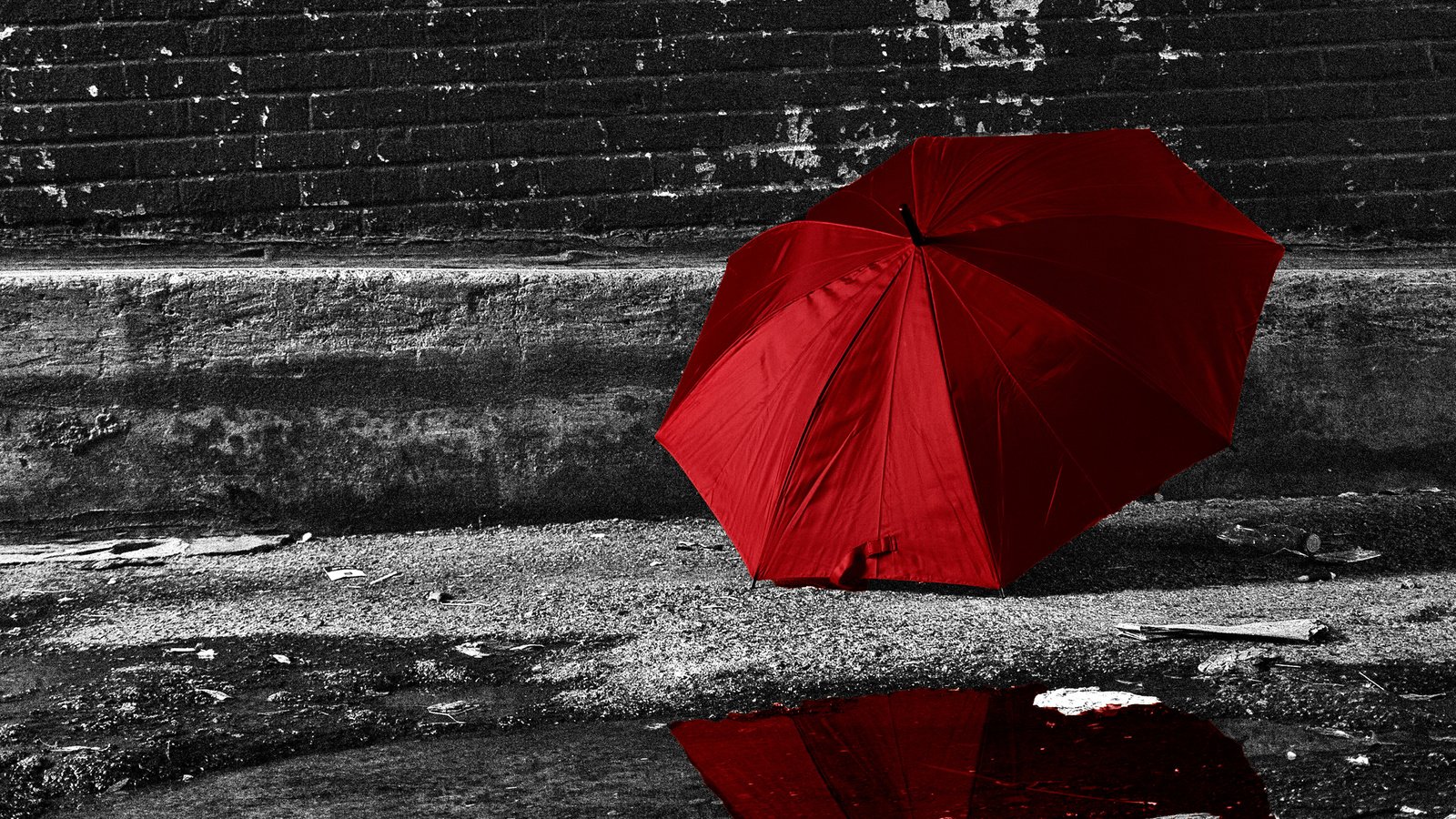 Обои отражение, стена, улица, дождь, зонт, лужа, reflection, wall, street, rain, umbrella, puddle разрешение 2880x1800 Загрузить