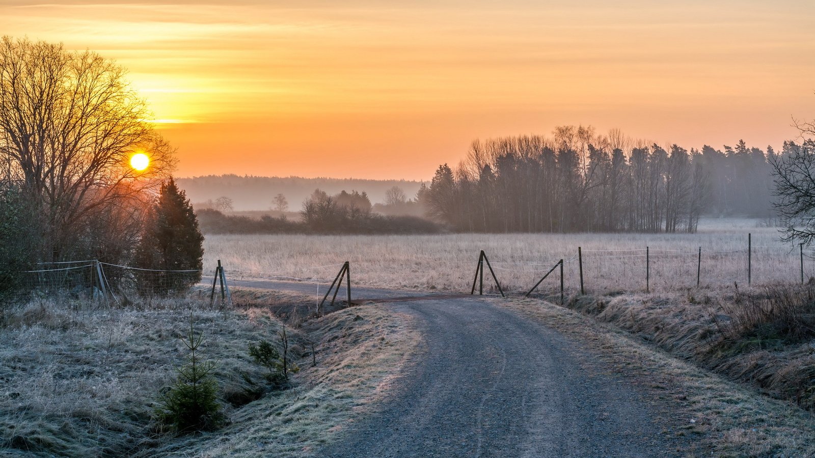 Обои дорога, снег, закат, зима, пейзаж, road, snow, sunset, winter, landscape разрешение 2560x1600 Загрузить