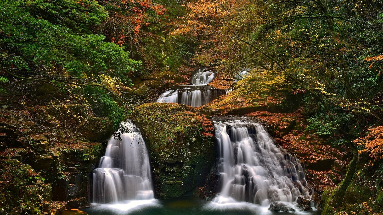 Обои деревья, лес, осень, япония, водопады, каскад, набари, trees, forest, autumn, japan, waterfalls, cascade, nabari разрешение 2400x1554 Загрузить