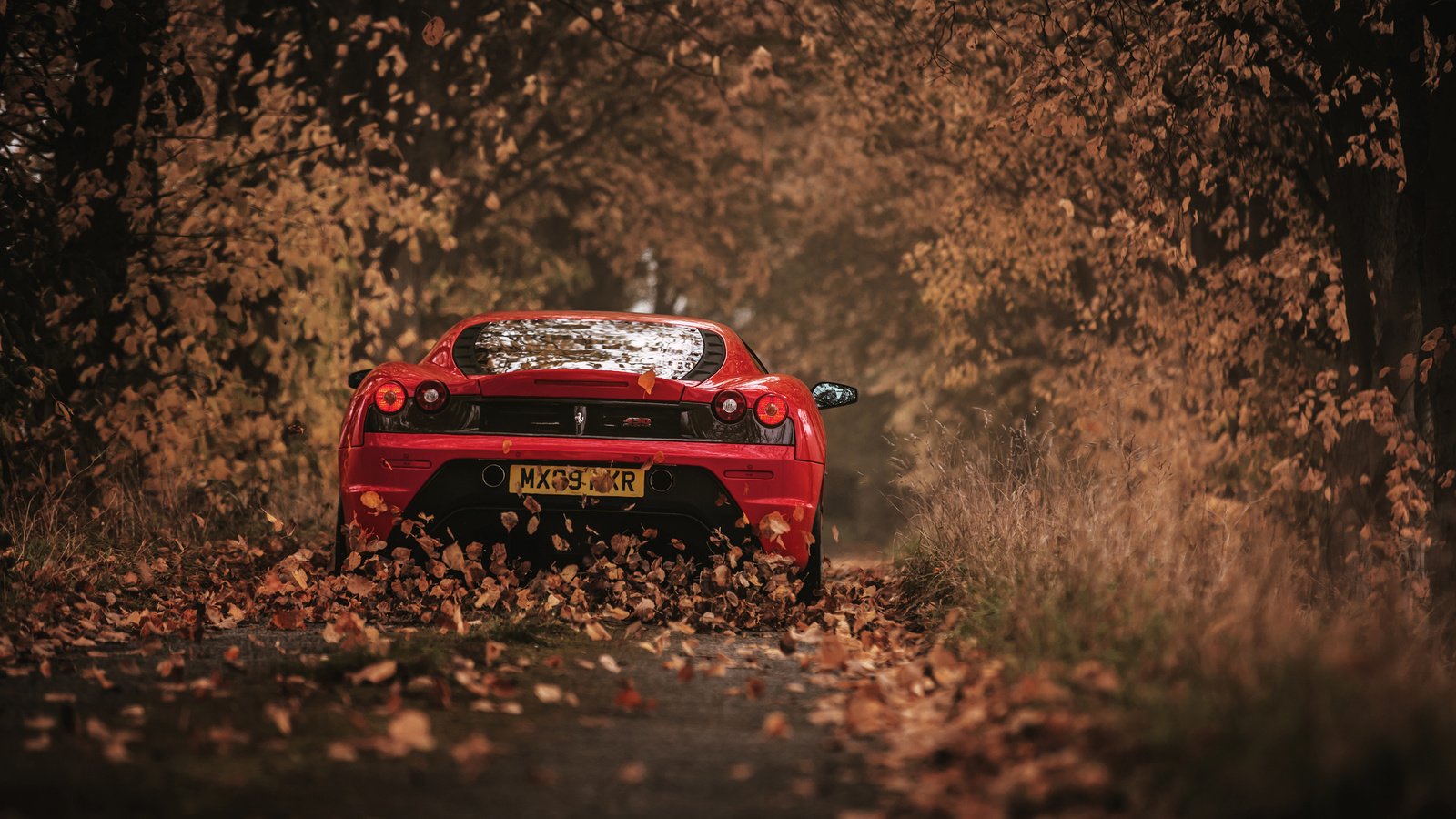 Обои листья, осень, красный, автомобиль, феррари, 430 scuderia, leaves, autumn, red, car, ferrari разрешение 3000x2002 Загрузить