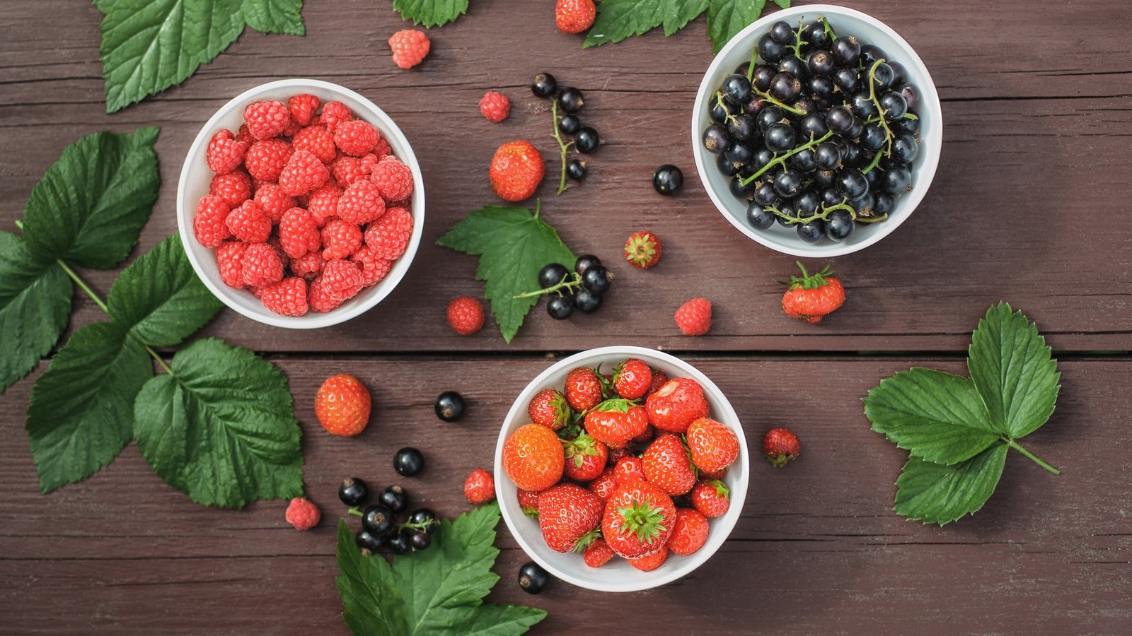 Обои малина, клубника, ягоды, чай, листики, пломбир, смородина, aspberry, raspberry, strawberry, berries, tea, leaves, sundae, currants разрешение 2880x1920 Загрузить