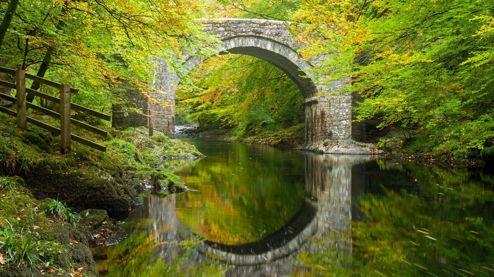 Обои деревья, holne bridge, river dart, река, холн-бридж, лес, река дарт, отражение, дартмур, мост, девон, осень, англия, арка, trees, river, holn bridge, forest, the river dart, reflection, dartmoor, bridge, devon, autumn, england, arch разрешение 2880x1856 Загрузить