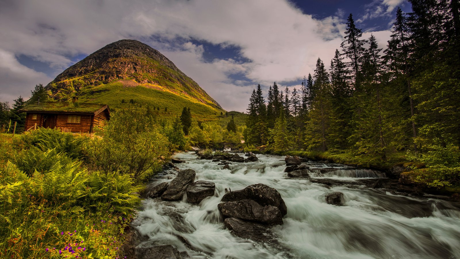 Обои деревья, река, холм, норвегия, хижина, норвегии, trees, river, hill, norway, hut разрешение 2048x1367 Загрузить