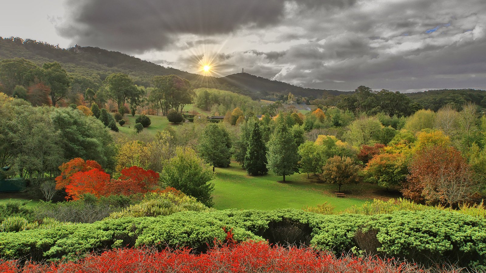 Обои пейзаж, осень, lofty botanic gardens, аделаида-хиллс, южная австралия, landscape, autumn, adelaide hills, south australia разрешение 2256x1496 Загрузить