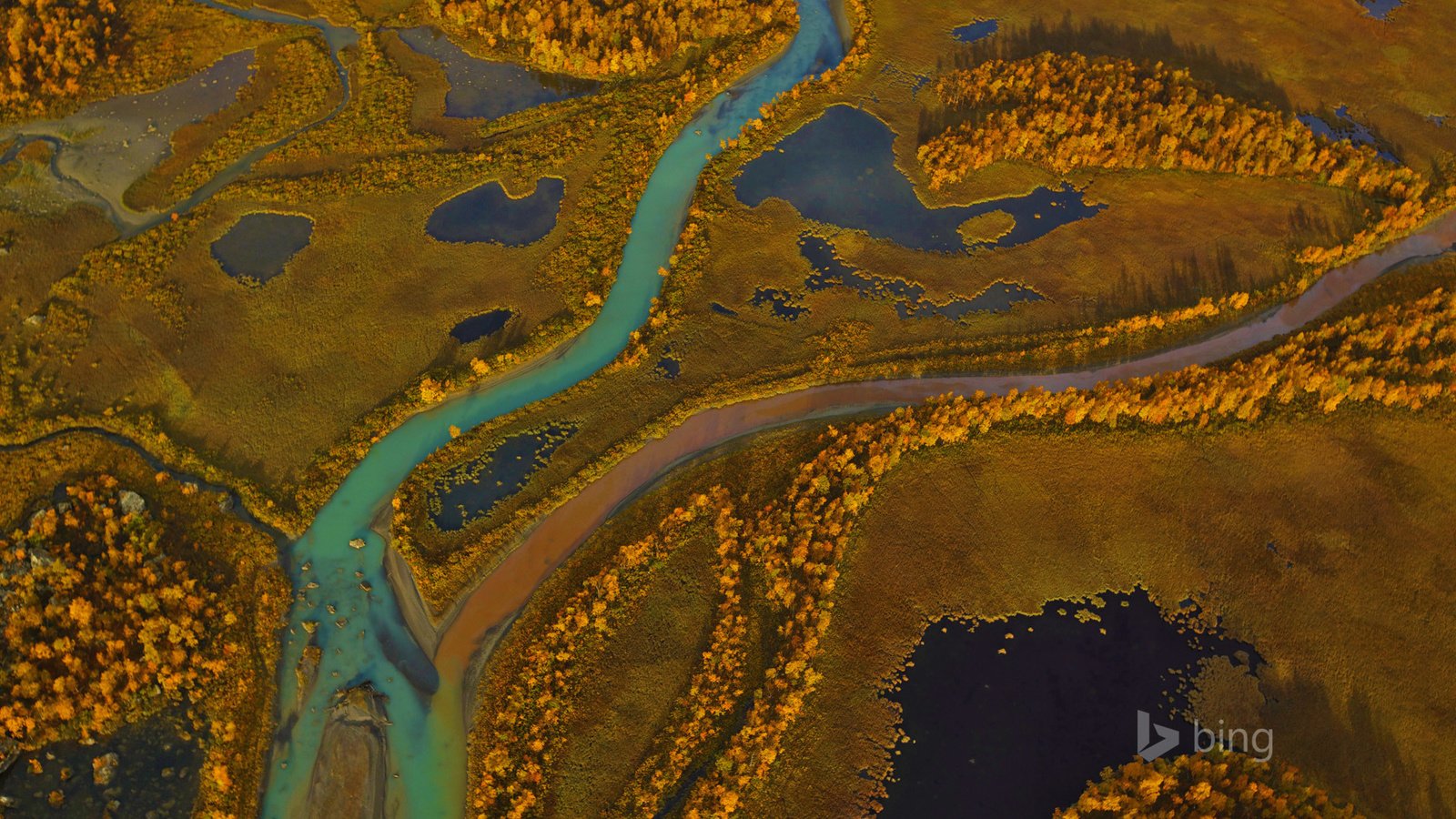 Обои деревья, река, панорама, краски, осень, швеция, sarek national park, trees, river, panorama, paint, autumn, sweden разрешение 1920x1200 Загрузить