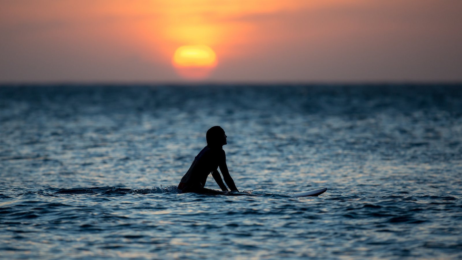 Обои вода, закат, девушка, море, силуэт, серфинг, water, sunset, girl, sea, silhouette, surfing разрешение 2048x1365 Загрузить