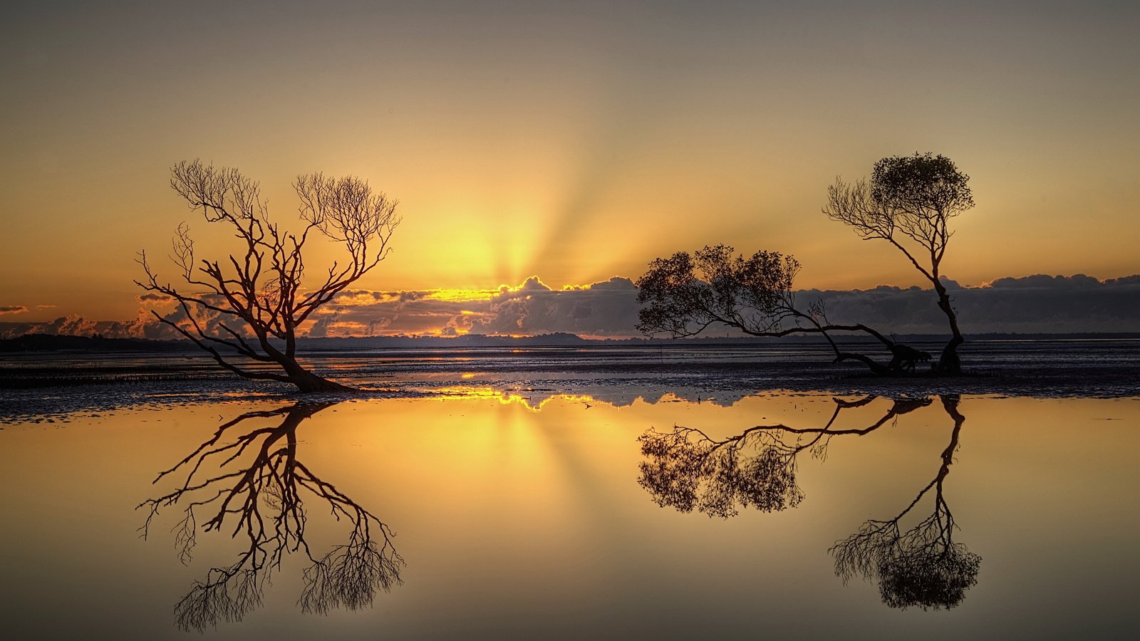 Обои деревья, вечер, озеро, природа, закат, отражение, trees, the evening, lake, nature, sunset, reflection разрешение 5592x3700 Загрузить