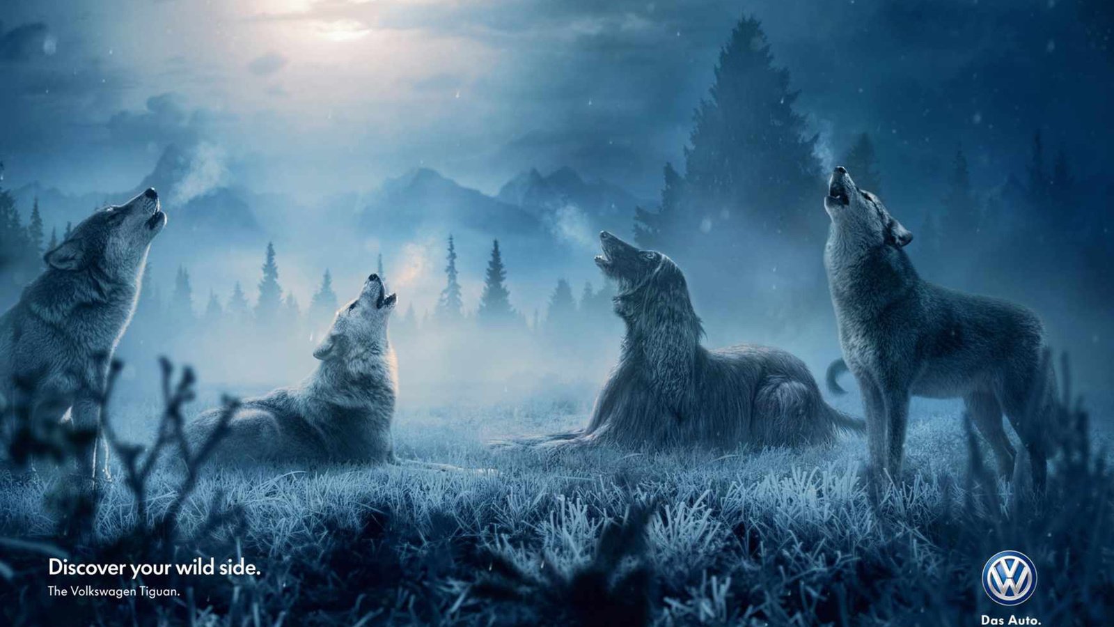 Обои собака, креатив, волки, dog, creative, wolves разрешение 1920x1200 Загрузить